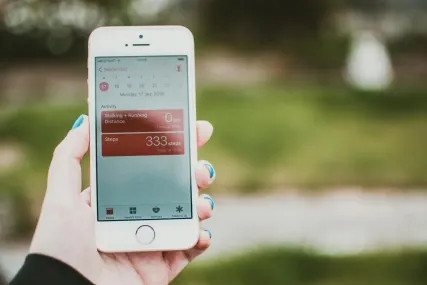 Spinago Kazino Mobilioji programa